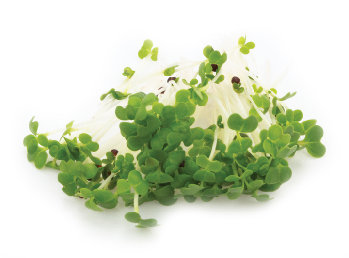 Bok Choy Microgreen Product