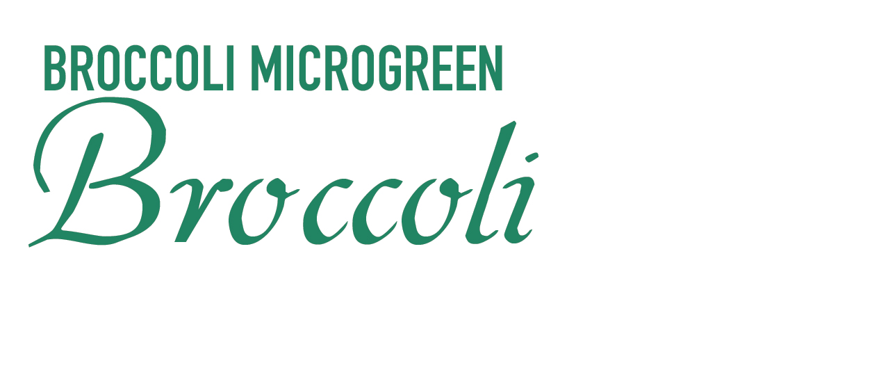 Broccoli Microgreen