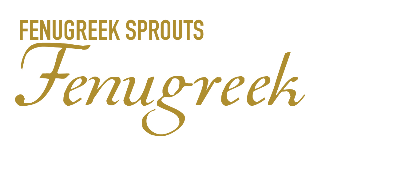 Fenugreek Sprouts