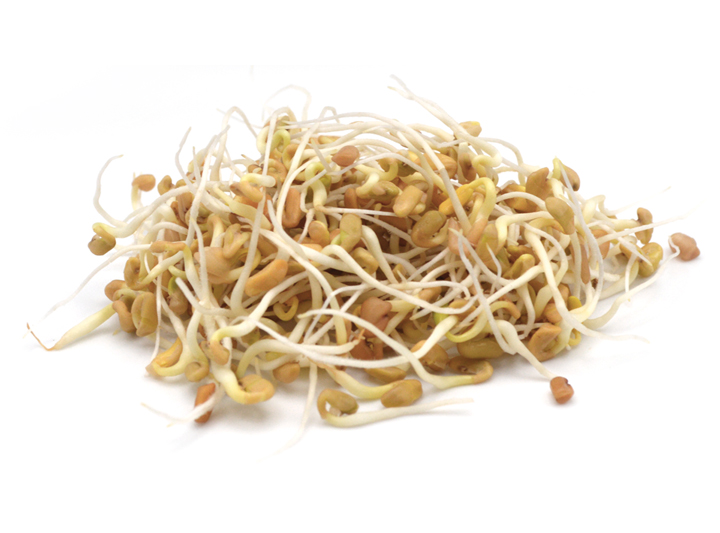 Fenugreek Sprouts Product