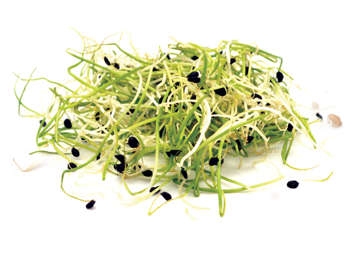 Garlic Sprouts Product