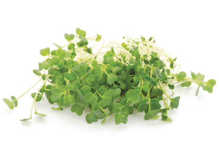 Kale Microgreen Product