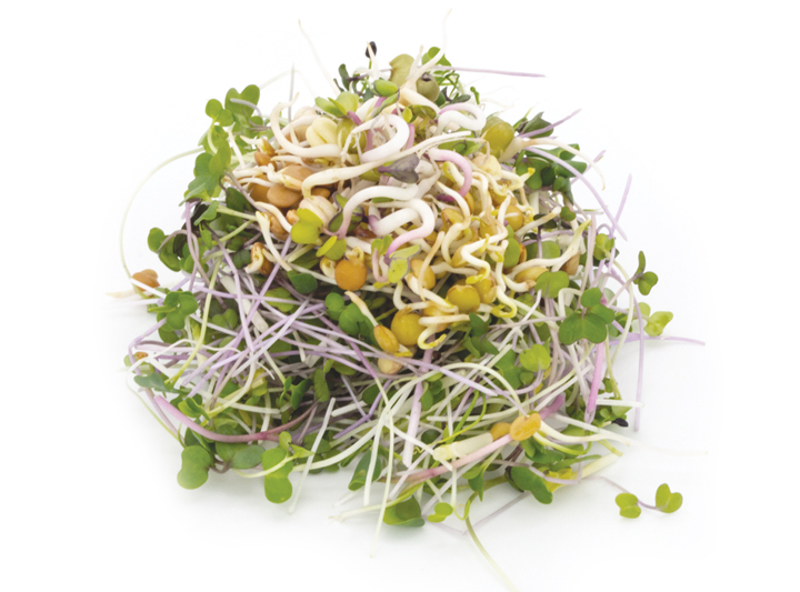 Mixed Salad Microgreen Product