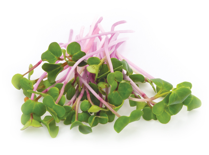 Radish Microgreens Product