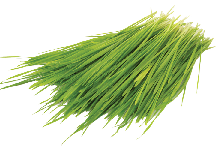 Wheatgrass Product