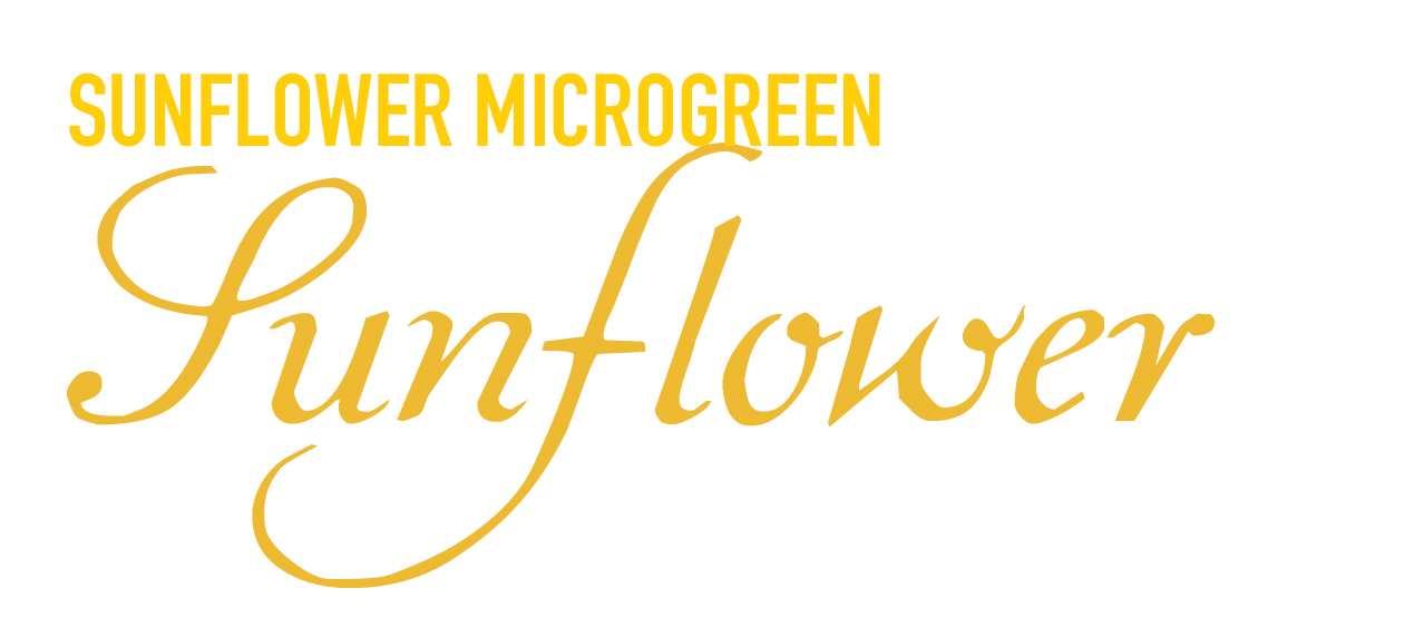 Sunflower Microgreens