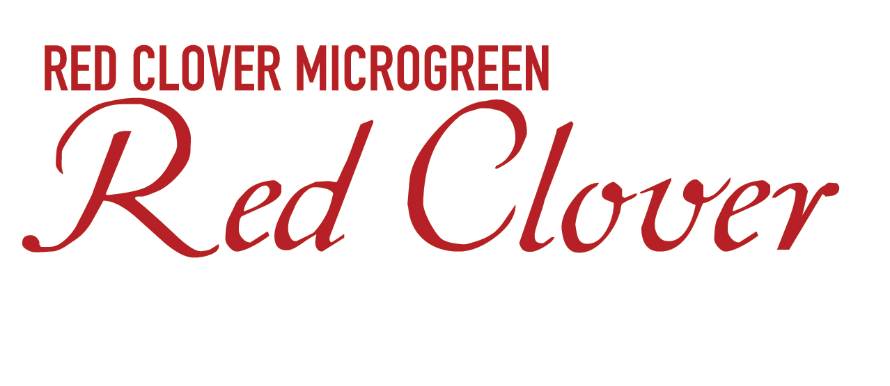 Red Clover Microgreens